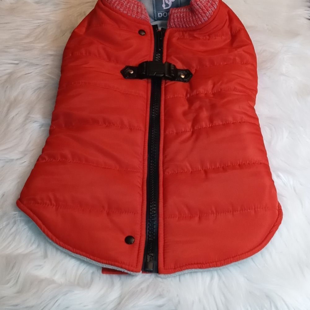 DOGO new york size xxl
